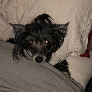 Meet your Posher, Rebecca